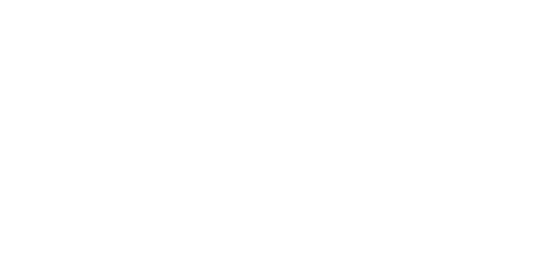 Newcastle City Council