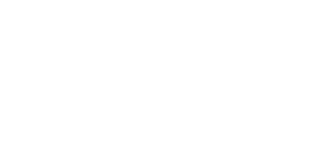 South Tyneside Council