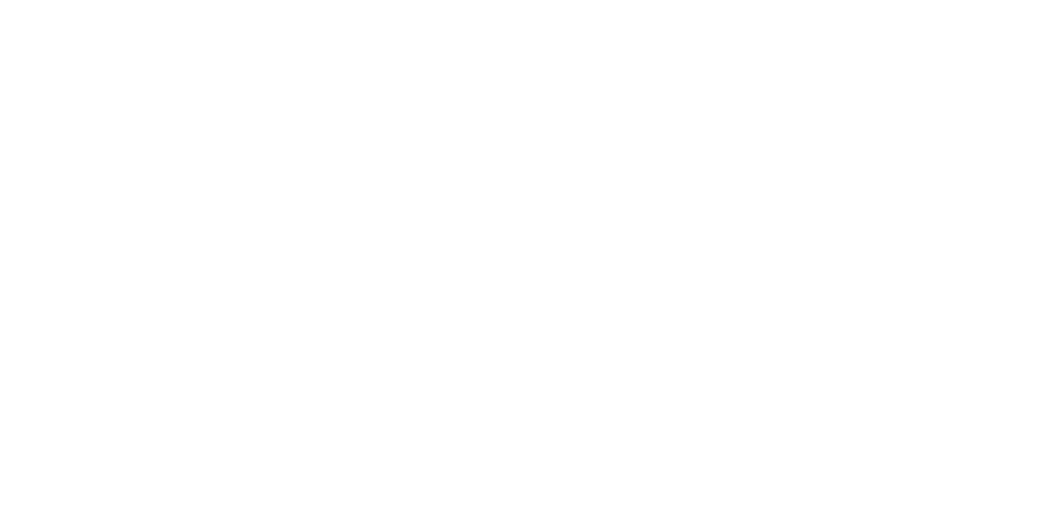 Sunderland City Council